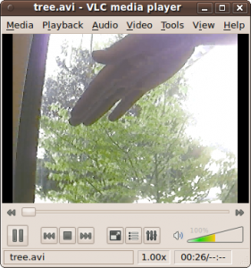 Screenshot-tree.avi - VLC media player